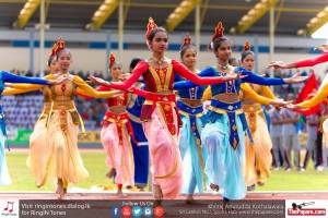 12141092_10154299771329251_2429804810222034036_o 